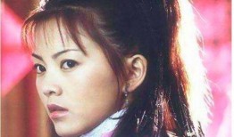 佛跳墙李湘在线观看,一场味蕾与心灵的盛宴