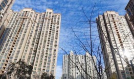 郑州鱼鳞云最新爆料,揭秘神秘科技背后的真相